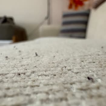 Bellona Mirante Koltuk Takımı Hayal Kırıklığı