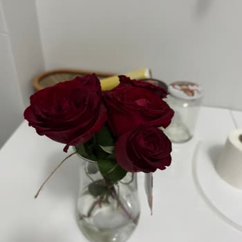 Taze Çiçek | Tazecicek.com Hayal Kırıklığı Yaratan Çiçek Siparişi