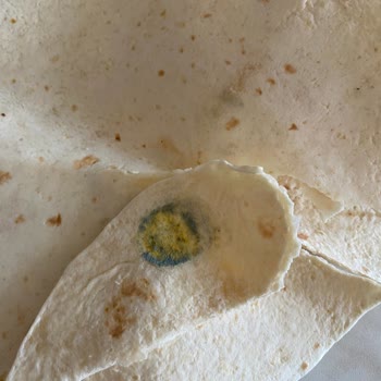 Küflü Lavaş Ekmeği Ve Zor Ayrılan Parçalar