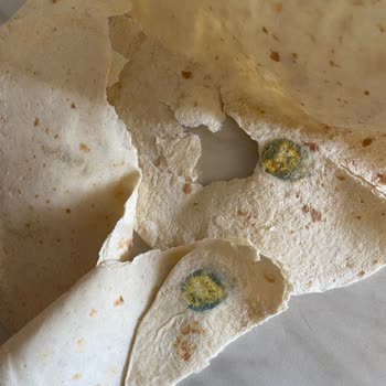 Küflü Lavaş Ekmeği Ve Zor Ayrılan Parçalar