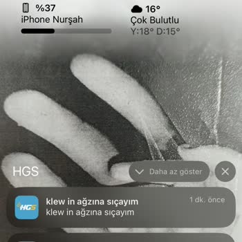 HGS Uygulaması Üzerinden Güvenlik Endişesi