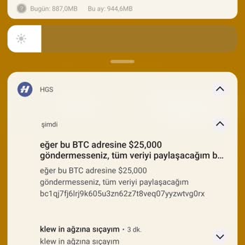 Uygulama Güvenlik Sorunları Ve Şantaj