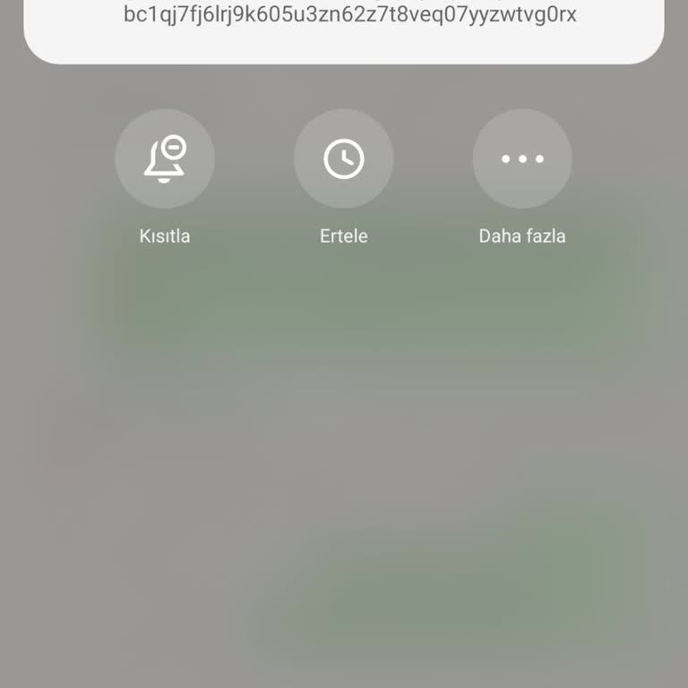 HGS Üzerinden Gelen Mesaj