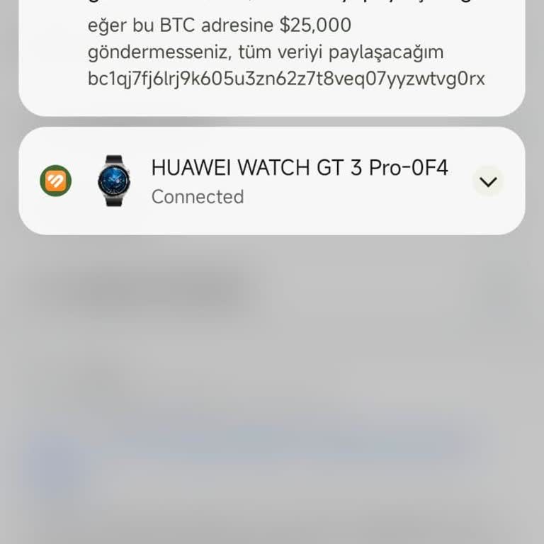HGS Uygulaması Güvenlik Açığı Ve Kredi Kartı Endişesi