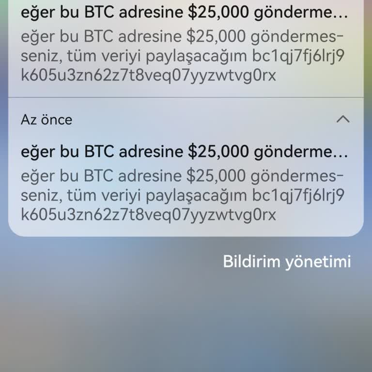 HGS Uygulamasında Aldatıcı Mesajlar Ve Erişim Sorunu