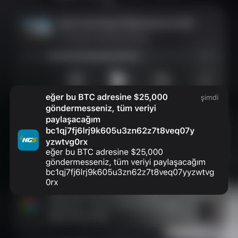 HGS Uygulamasında Güvenlik Ve Erişim Sorunları
