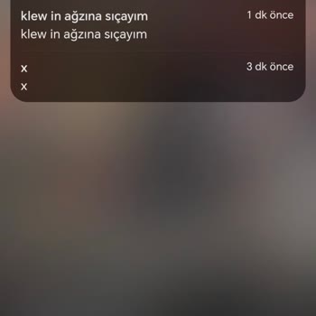 HGS Güvenlik İhlali: Acil Müdahale Gerekiyor!