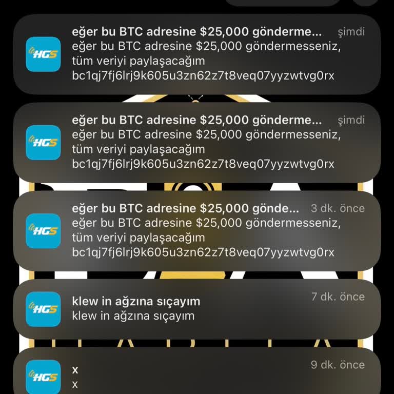 HGS Bildirimlerinin Saçmalığı Ve Ulaşım Sorunu