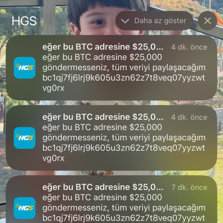 HGS Güvenlik Sorunları Ve Veri Tehditleri