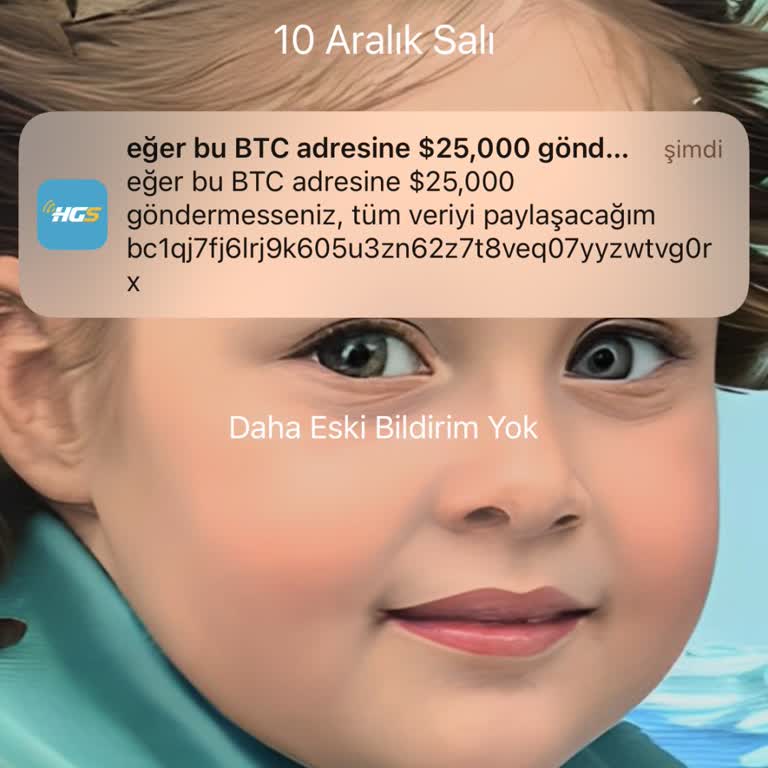 HGS Erişim Sorunu Ve Güvenlik Endişesi