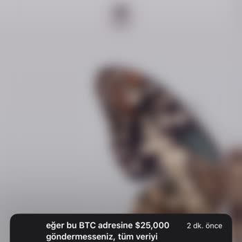 HGS Uygulaması Üzerinden Gelen Tehdit Mesajları