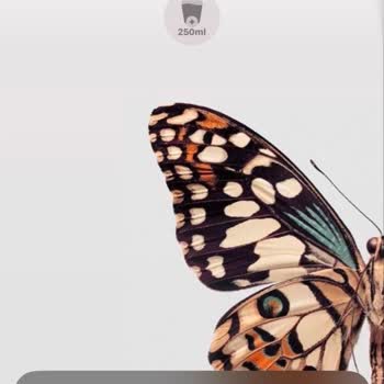 HGS Uygulaması Üzerinden Gelen Tehdit Mesajları