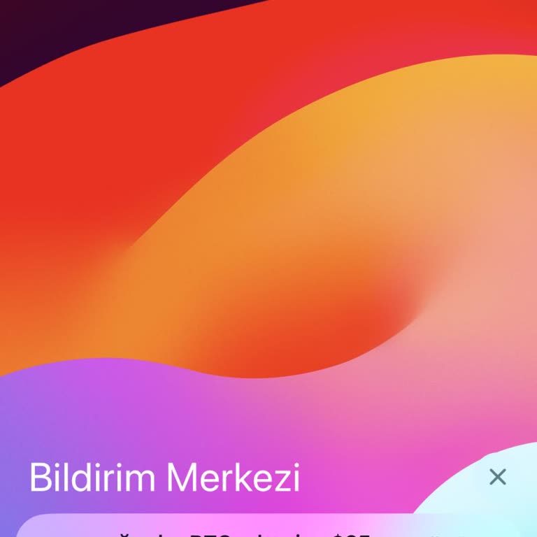 HGS Uygulamasındaki İlgisizlik Ve Takip Sorunları