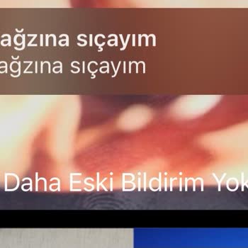 HGS Uygulamasındaki Güvenlik Endişeleri