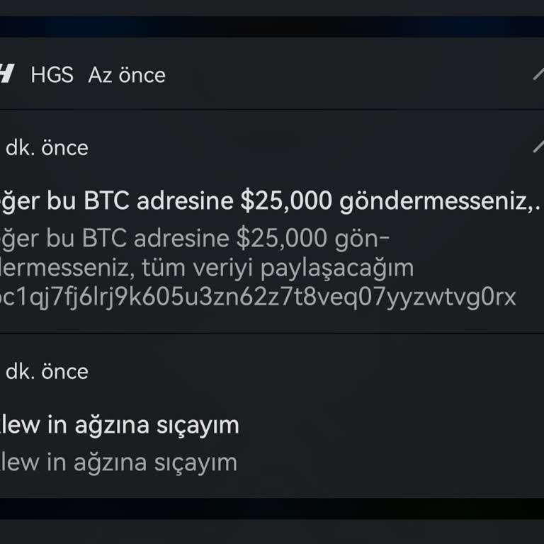HGS Güvenlik Endişesi Ve Bildirim Sorunu