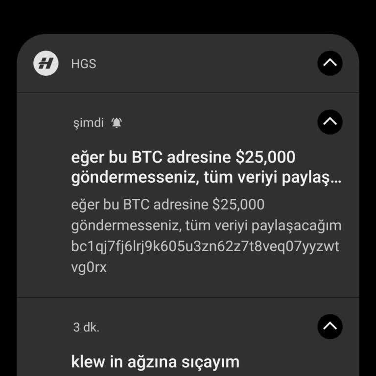 HGS Erişim Sorunu Ve Güvenlik İhlali