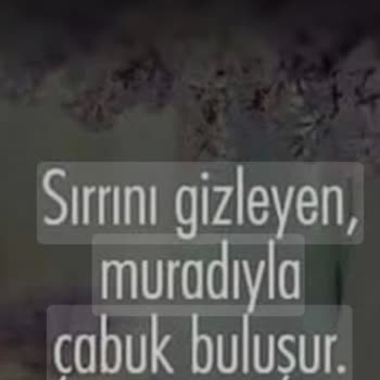 HGS Uygulamasındaki Güvenlik Açığı Ve Şok Edici Bildirim