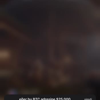 HGS Uygulaması Üzerinden Güvenlik İhlali