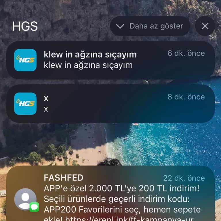 HGS Uygulamasında Güvenlik İhlali Ve Erişim Sorunu