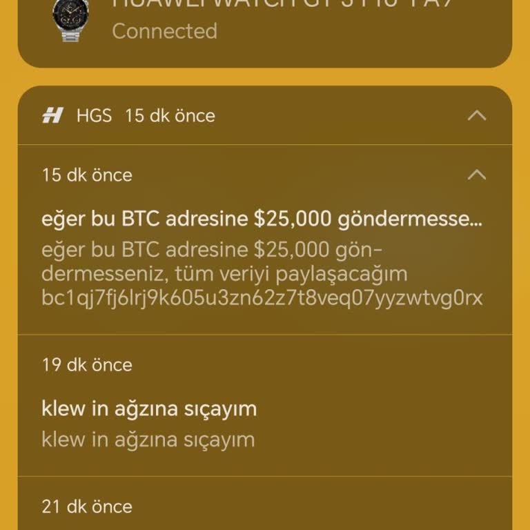 HGS Uygulamasında Güvenlik Açığı Ve Güven Sorunu