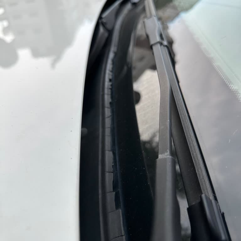 BMW F20 118i Ön Cam Fitili Sorunu: Kronik Problem Ve Marka İtibarı