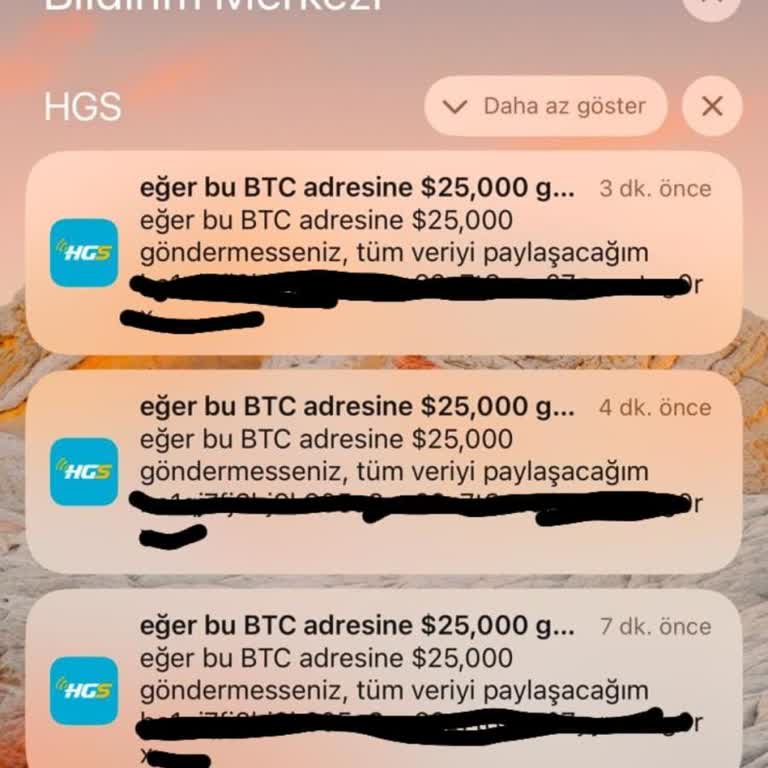 HGS Uygulamasında Güvenlik Açığı