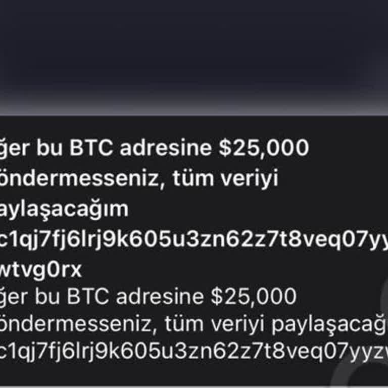 HGS Uygulamasında Güvenlik Açığı Endişesi