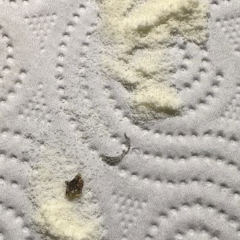 Bebek Mamasında Şok Edici Kontaminasyon