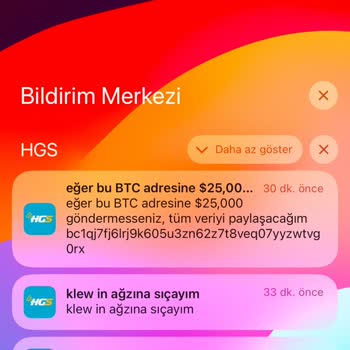 HGS Mobil Uygulamasında Güvenlik Açığı Ve Tehdit