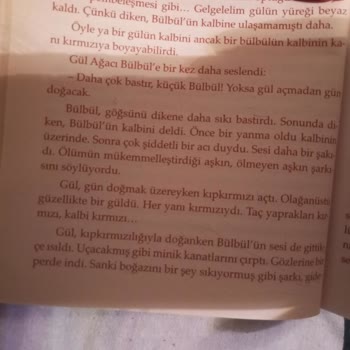 MEB Onaylı Kitaplar: Çocuklarımız İçin Uygun Mu?