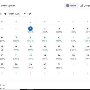 Ankara-Bodrum Uçuşlarında Fiyat Ve Sefer Adaletsizliği