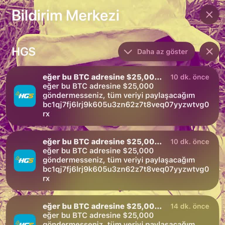 HGS Uygulamasında Güvenlik Açığı Ve Tehdit Panik Yarattı