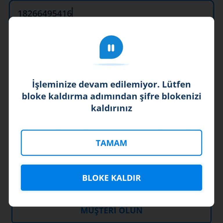Denizbank Hesap Erişimi Engeli