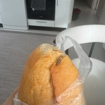 Burdur BİM'de Hijyen Sorunu: Ekmekte Böcek Şoku