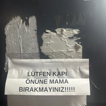 A101 Market Personelinin Hayvanseverlere Karşı Tutumu