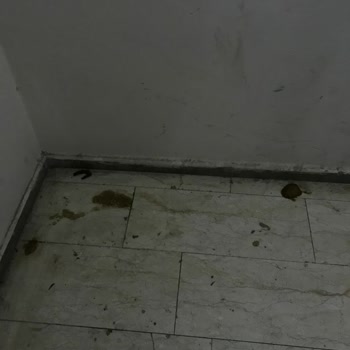 Aidat Ödemelerine Rağmen Hizmet Alamıyoruz