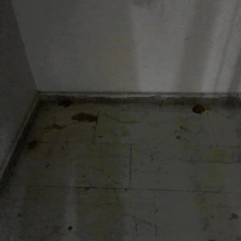 Aidat Ödemelerine Rağmen Hizmet Alamıyoruz