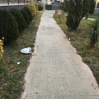 Aidat Ödemelerine Rağmen Hizmet Alamıyoruz