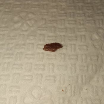 BİM'den Aldığım Gofrette Plastik Parça Şoku!