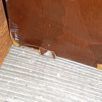 Taşınma Kabusu: Kırık Eşyalar Ve Yanıltıcı Fiyatlar