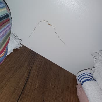 Taşınma Kabusu: Kırık Eşyalar Ve Yanıltıcı Fiyatlar