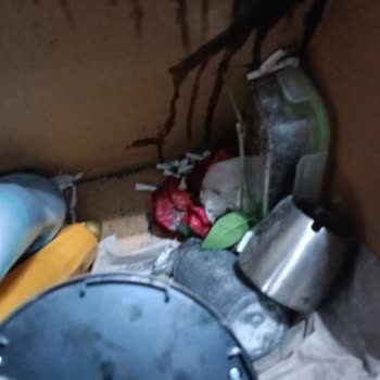 Taşınma Kabusu: Kırık Eşyalar Ve Yanıltıcı Fiyatlar