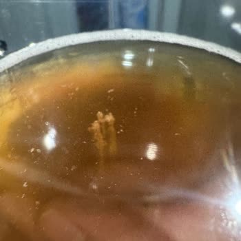 BİM'den Aldığım Bozuk Meyve Suyu Ve Sağlık Endişesi