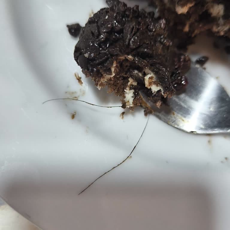 Bio Fresh Pastalarda Kıl Çıktı