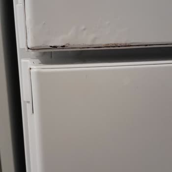 Bosch Ürünlerinde Boya Kalitesi Sorunu Ve Müşteri Hizmetleri Yaklaşımı