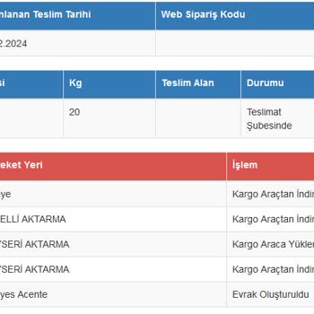 Sürat Kargo İle Yaşanan Teslimat Sorunları Ve Müşteri Hizmetleri Hayal Kırıklığı