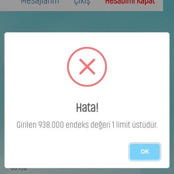 Fatura Oluşturma Sorunu Ve Endeks Hatası