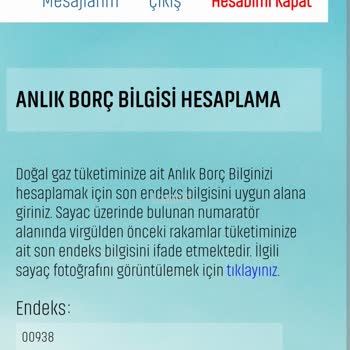 Fatura Oluşturma Sorunu Ve Endeks Hatası