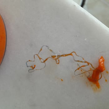 Penguen Lutenitsa Sosunda Hijyen Skandalı