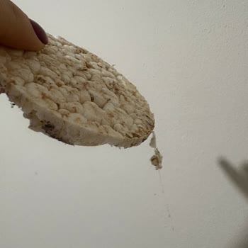 Nestle Ürünü İçinden Çıkan Kurt Şoku